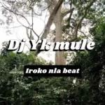Dj Yk Beat Iroko Nla Beat Mp3 Download
