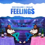 Don Malume Feelings Ft. Skales mp3 download