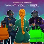 Kinsolo What You Need Remix ft. Peruzzi mp3 download