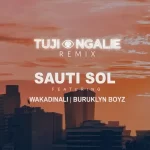 Sauti Sol ft Wakadinali Buruklyn Boyz Tujiangalie Remix mp3 download