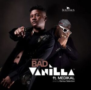 Vanilla Want You Bad Ft Medikal mp3 download