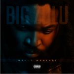 Big Zulu Ft. Imfezemnyama Isala Kutshelwa mp3 download