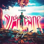 Camidoh Sugarcane Remix (Sped Up) Ft. Mayorkun, Darkoo & King Promise mp3 download