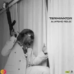 DJ Medna Terminator Amapiano Remix Ft. Asake mp3 download