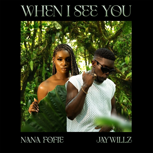 Nana Fofie ft Jaywillz When I See You mp3 download