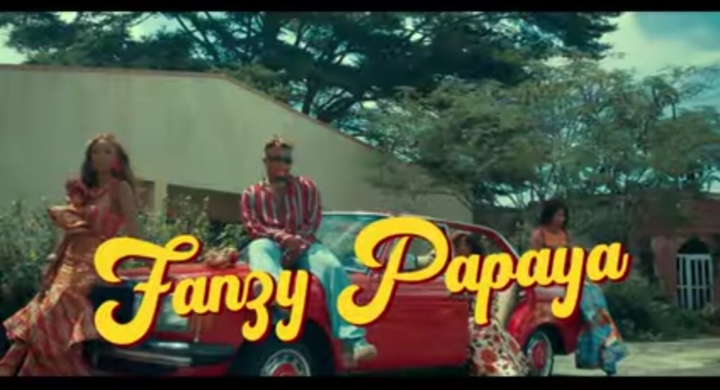 Fanzy Papaya Commando Video mp4 download