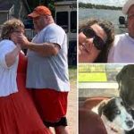 Minnesota Couple and their dogs found lifeless in murder suicide agreement