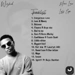 Wizkid Love & Money mp3 download