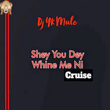 DJ YK Mule Shey You Dey Whine Ni Cruise mp3 download