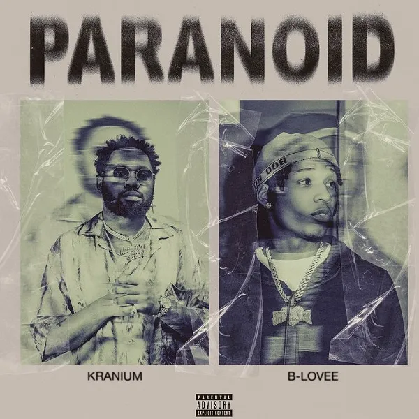 Kranium Paranoid Ft. B Lovee mp3 download