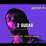 Wizkid 2 Sugar (Instrumental) ft. Ayra Starr mp3 download