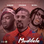 Afwasman Mudilele (Remix) ft Mr Real & Slimcase mp3 download
