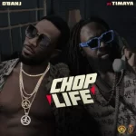D’banj Chop Life ft Timaya mp3 download