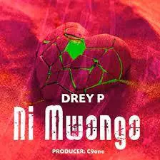 Drey P Ni Mwongo mp3 download