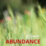 Samini Abundance mp3 download