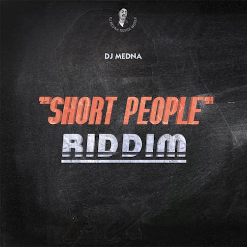 DJ Medna Short People Riddm mp3 download