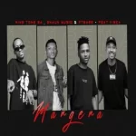 King Tone SA Mangena Ft. ShaunMusiq, Ftears & Visca mp3 download