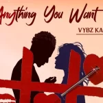 Vybz Kartel Anything You Want Girl mp3 download