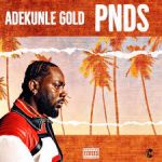 Adekunle Gold – PNDS