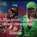 Spyro ft. Tiwa Savage - Who is your Guy (Remix) (Instrumental)