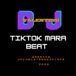 DJ Valentino - Tiktok Mara Beat Mix Vs Christmas Warm Up (Mix 2023)