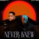Freddy K – Never Knew EP