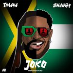 Timaya – Joko ft. Shaggy