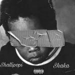 Shallipopi – Shaka