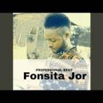 Professional Beat – Fonsita jor
