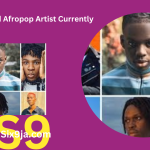 Top Talented Afropop Artist Currently