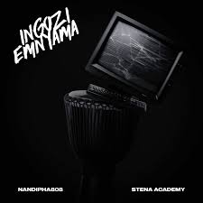 Nandipha808 – INGOZI EMNYAMA EP