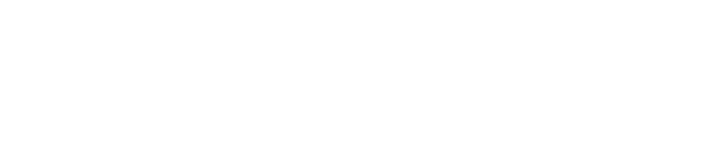 Six9ja Footer Logo