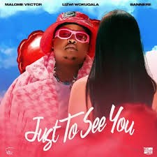 Malome Vector – Just To See You Ft. Lizwi Wokuqala & Sannere