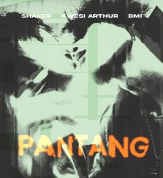 Shaker – Pantang Ft. Kwesi Arthur & DMI